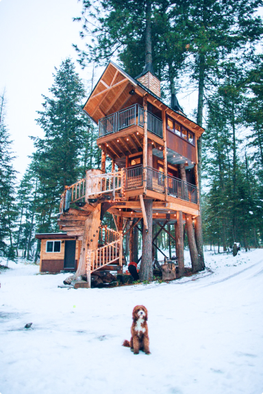 house with a dog